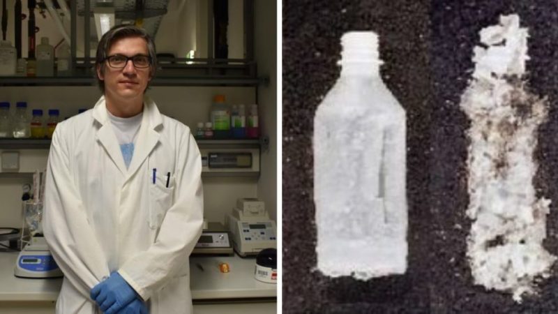 Cientistas da Alemanha descobrem enzima que decompõe plástico em menos de um dia